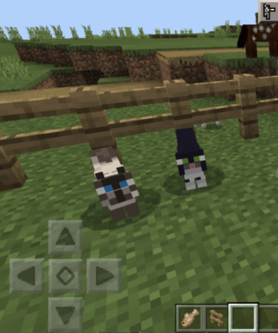 enclosed-cat-minecraft enclosed-cat-minecraft