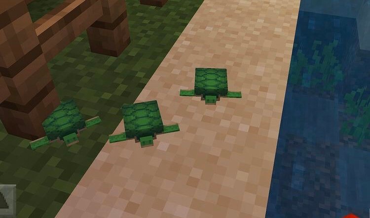 minecraft-babyturtle-3 minecraft-babyturtle-3