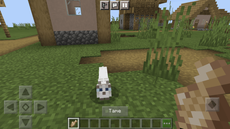 tame-cat-minecraft tame-cat-minecraft