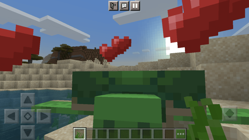 taming-turtles-minecraft taming-turtles-minecraft