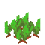 minecraft-beetroot-growth-3 minecraft-beetroot-growth-3