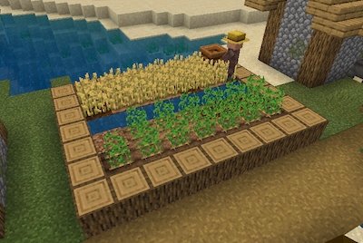 minecraft-village-crop-patch minecraft-village-crop-patch