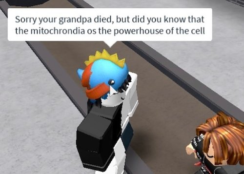 roblox-meme-19 roblox-meme-19