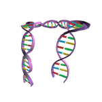DNA Scarf roblox id code DNA Scarf roblox id code