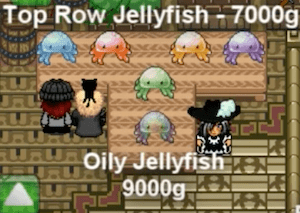 graal-beach-nexus-2011 graal-beach-nexus-2011